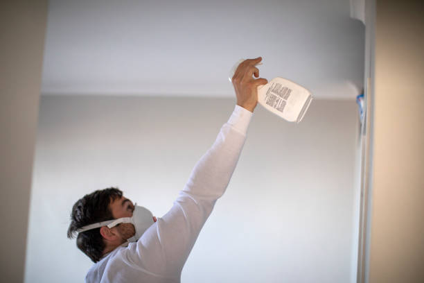 Best Attic Mold Removal  in Deshler, OH