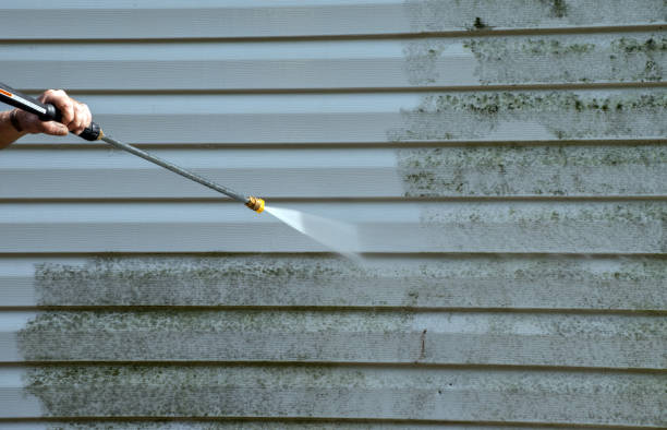 Best Toxic Mold Removal  in Deshler, OH