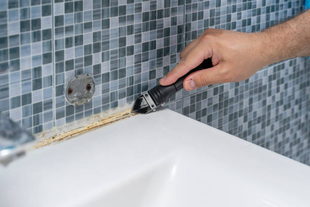 Best Mold Removal Company Near Me  in Deshler, OH