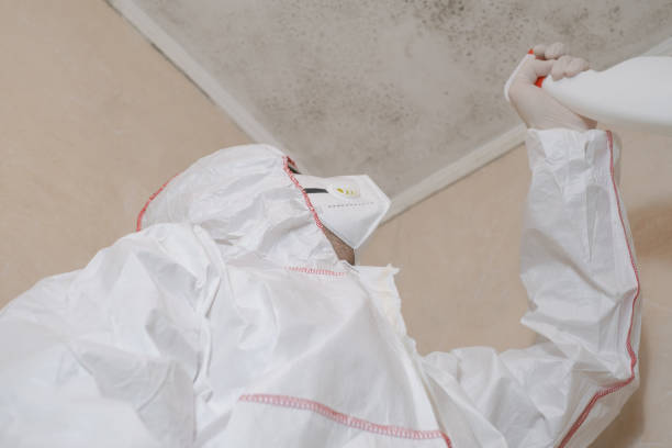 Mold Testing and Removal in Deshler, OH