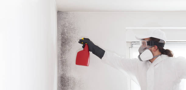 Best Emergency Mold Removal  in Deshler, OH