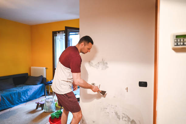Best Certified Mold Removal  in Deshler, OH