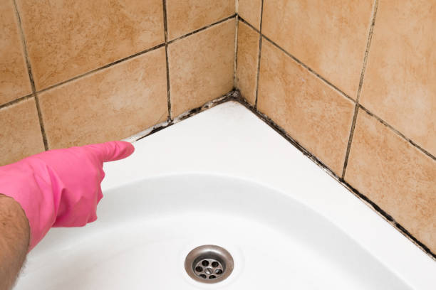 Best Mold Testing  in Deshler, OH